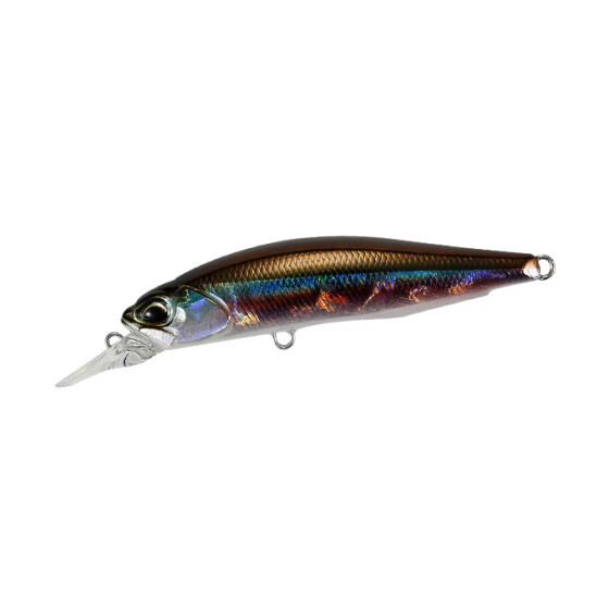 Duo Realis Rozante 63 SP Wakasagi