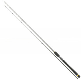 Daiwa Legalis 2,40m Spinnrute