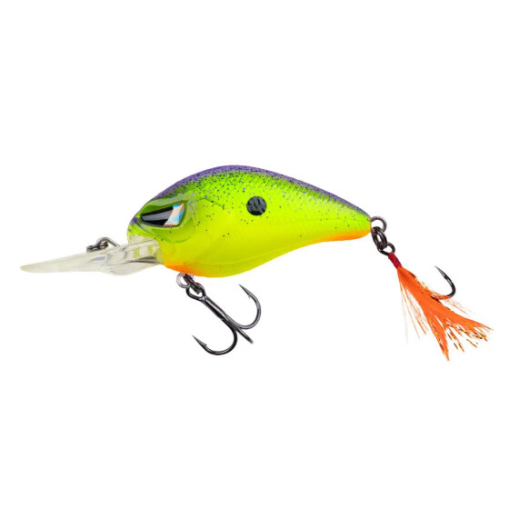 Zeck Danny 4,5 cm | 2,0 m F Purple Chartreuse BA