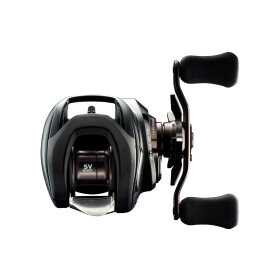 Daiwa 24 Steez SV TW 100 Baitcastrolle