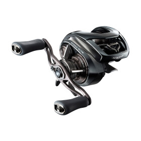 Daiwa 24 Steez SV TW 100 Baitcastrolle