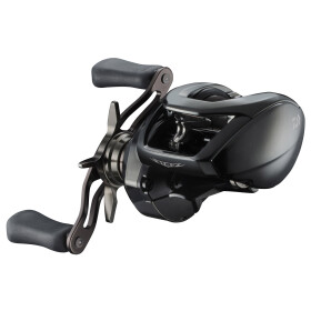 Daiwa 24 Steez SV TW 100 Baitcastrolle