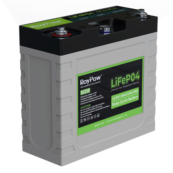 RoyPow IP65 S-Series Batterie 12V 18Ah