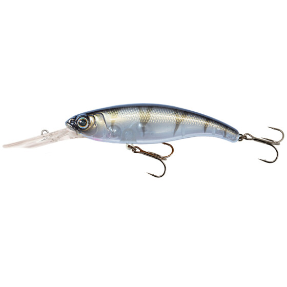 UV Striped Shiner